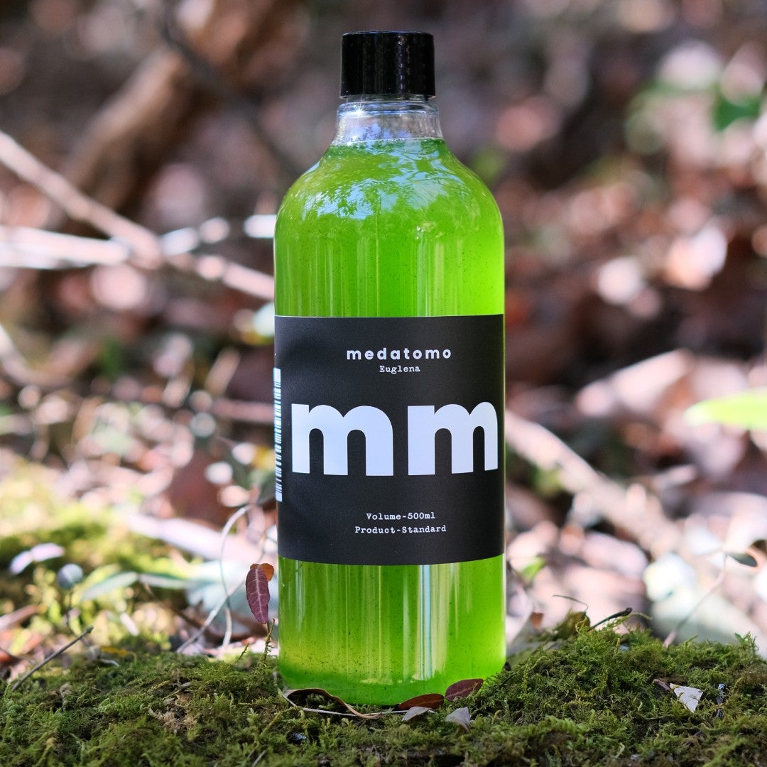 medatomo ミドリムシ 500ml | メダカ屋 medatomo