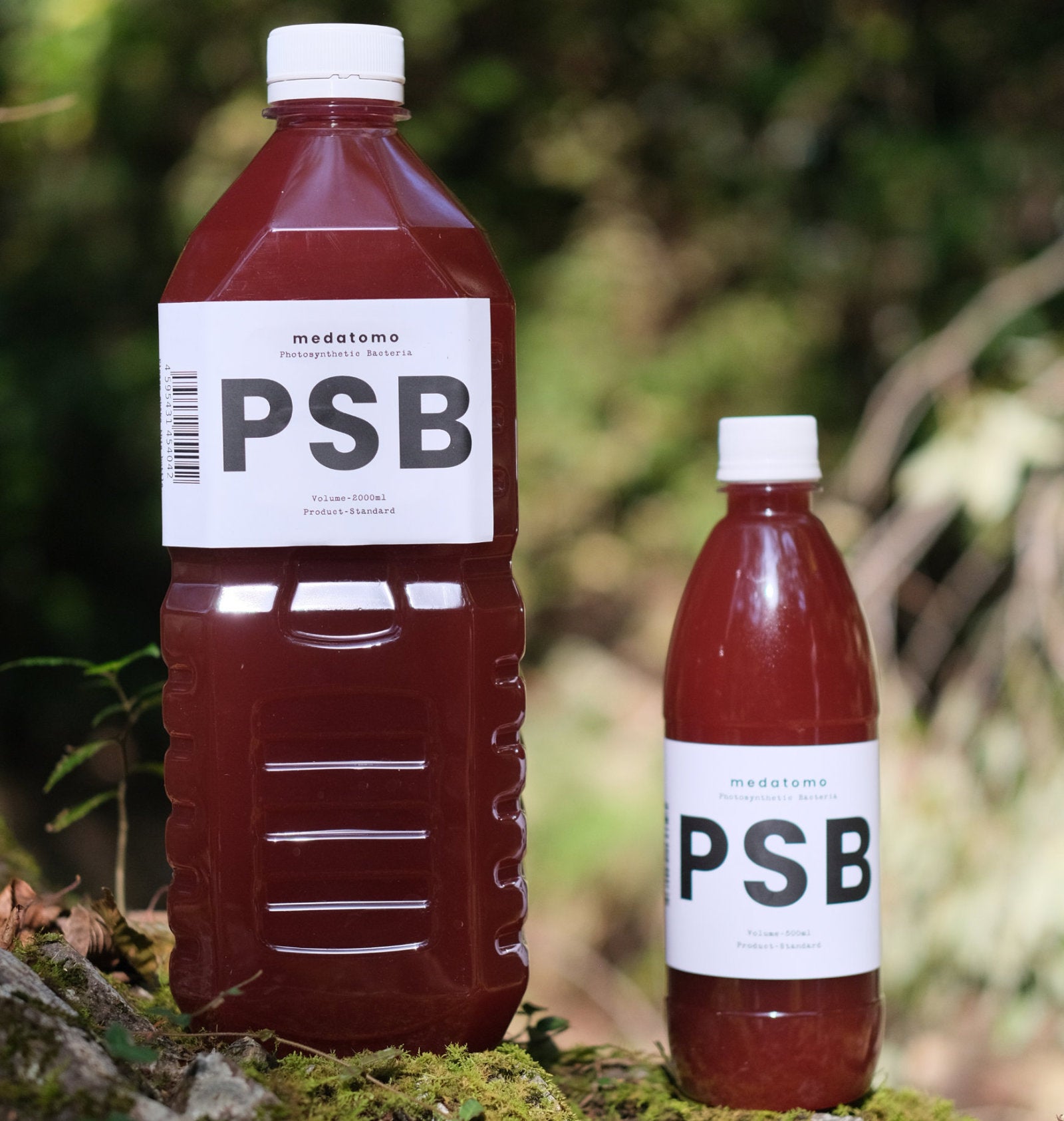 medatomo Standard PSB 500ml | メダカ屋 medatomo